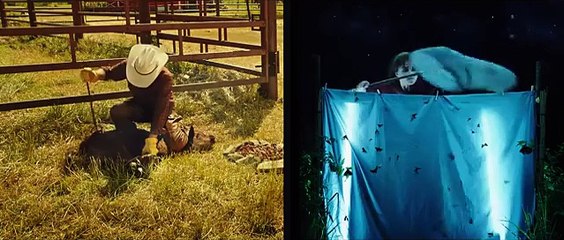 The Young and Prodigious T.S. Spivet Trailer (2013) - Helena Bonham Carter Movie HD