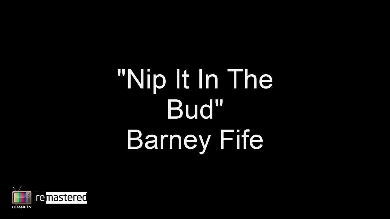 Barney Fife - Nip It in the Bud - Best Moments - The Andy Griffith Show HD