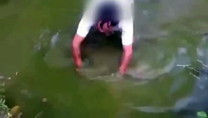 Браконьер, который не знал законы электропроводности