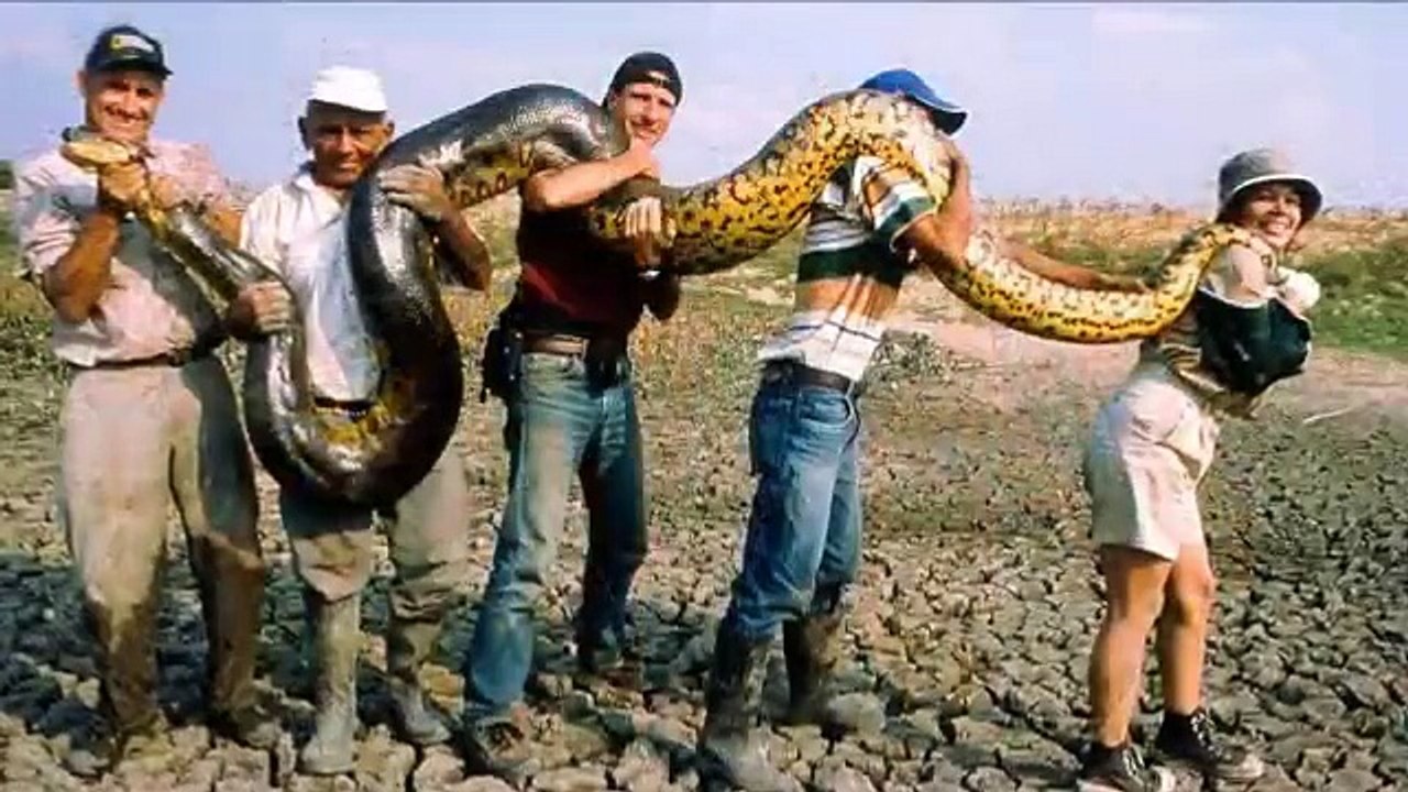 Giant Anaconda - Part 17