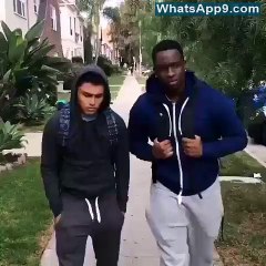 Everybody Does This In Childhood - Funny Playing With Dog(whatsapp9.com)