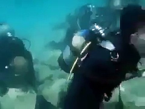 سمندر کی تہ میں نماز پرھنے پر ان مسلمانوں کے لیے کتنے لائک اور شئیر ? ویڈیو دیکھیں