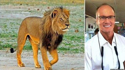 BBC Radio 5 live Up All Night - Rhod Sharp discussing Cecil the lion's killer not being charged 13Oct15