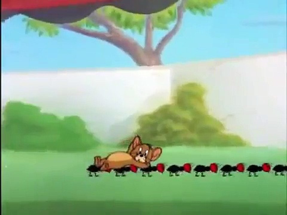 tom and jerry ant funny video .wmv Dailymotion Video