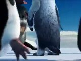 Funny Punjabi Clips Penguins talking funny in Punjabi totay - Video Dailymotion