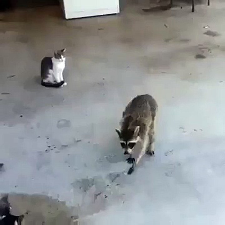 Hırsızlığın böylesi! Kaçışa dikkat!