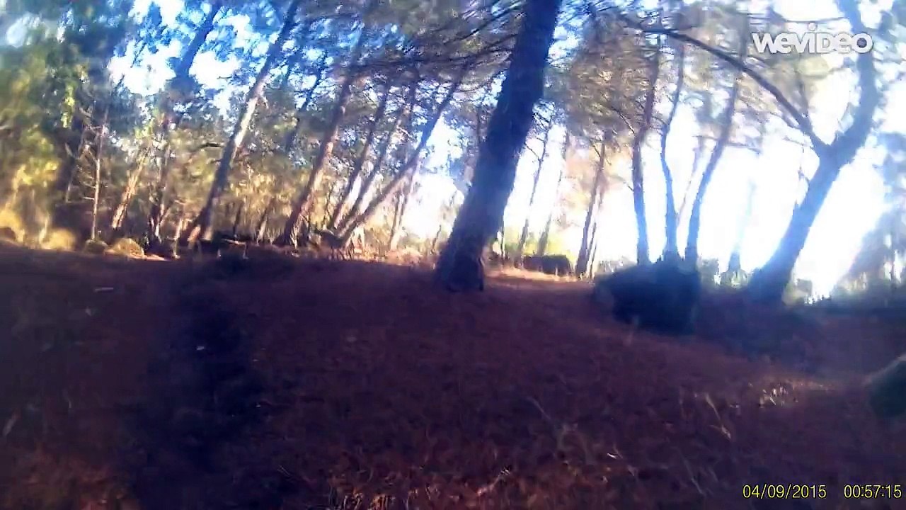 MTB