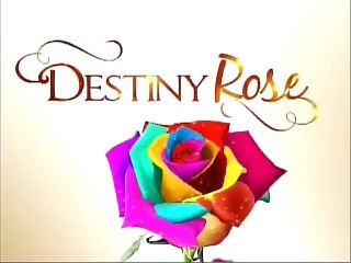 Destiny Rose October 13, 2015 Part 5