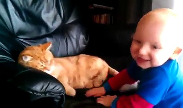 Bebe Pelea Con El Gato, Peligroso No ★ Bebe Divertido Bebe Chistoso Bebe Risa Bebe Tierno Bebe