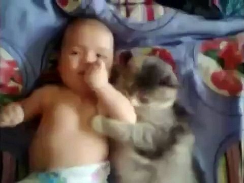 Кот так любит малыша, везде с ним))