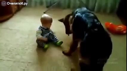 Не поделили косточку)))