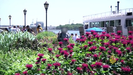 أرض العسل والعلقم | أفلام وثائقية