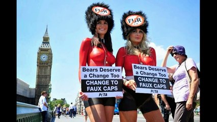 PETAs Most Outrageous Protests Ever