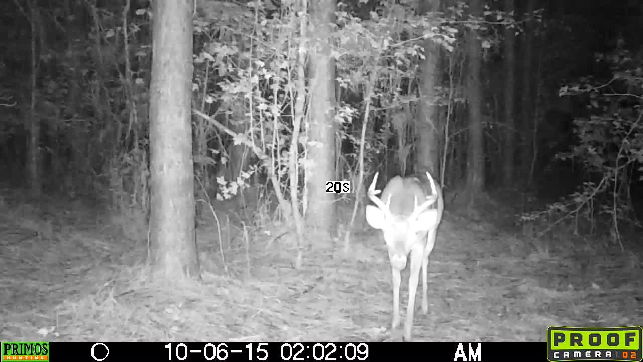 Hunt Edges to Find Mature Bucks