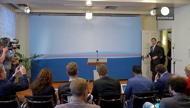 Нидерланды установили причину катастрофы малайзийского Боинга над Украиной, виновных ищут