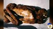15 Legendary Mummified Bodies & How They Got There