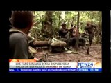 FARC estan dispuestos a 