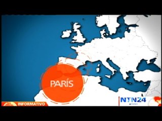 Policías y bomberos buscan a felino en libertad cerca de París