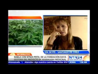 Polémica en Chile por un proyecto de cultivo de marihuana medicinal al sur de Santiago