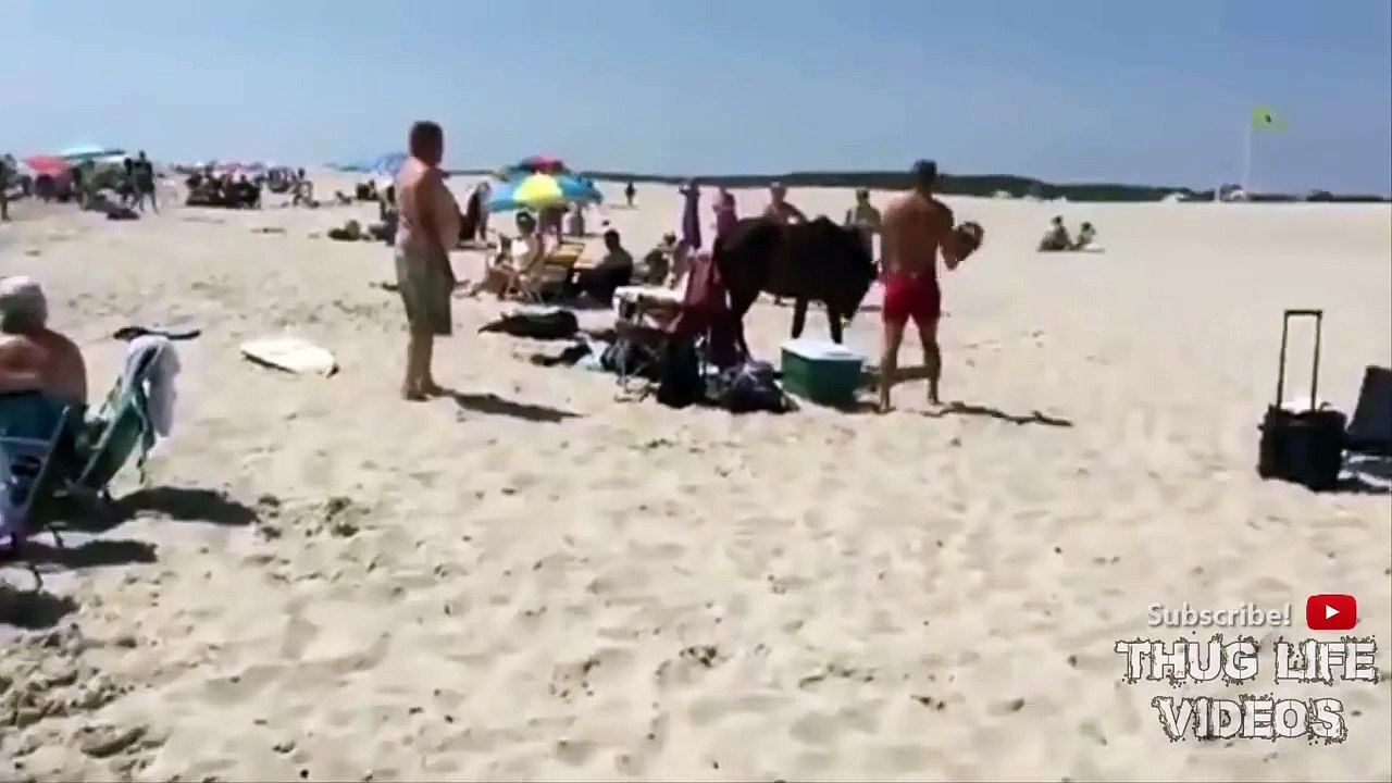 Never piss off a horse! Thug Life