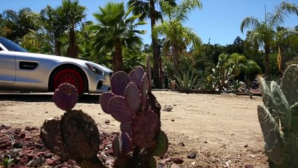 FORGIATO _ Mercedes-Benz GTS