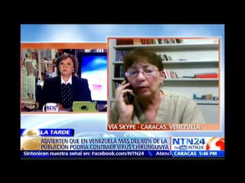 ¿Cuáles son los síntomas del Chikungunya? Habla la Pdta de la Red de sociedades científicas de Vzla