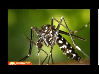 Humala destina más de ocho millones de dólares tras alerta sanitaria por el Chikungunya