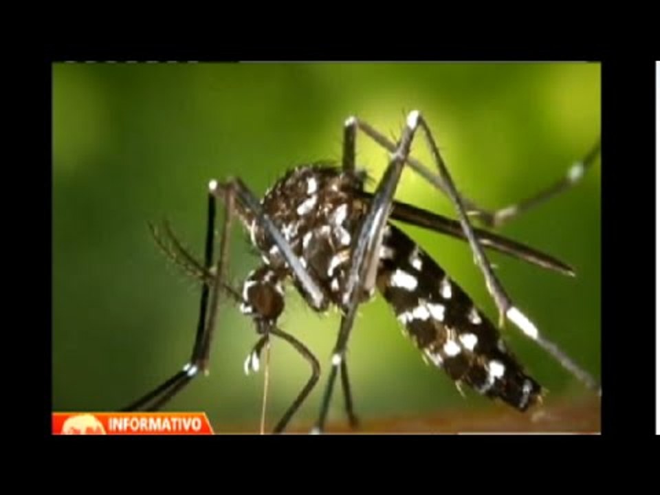 Humala destina más de ocho millones de dólares tras alerta sanitaria por el Chikungunya