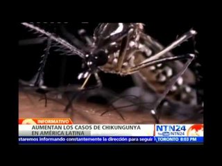 Perú declara emergencia sanitaria por riesgo elevado de ingreso de Chikungunya