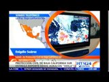 México declara alerta máxima en Baja California por el paso del huracán 'Odile'