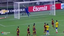 Brazil vs Venezuela 3-1 All Goals and Highlights 14/10/2015