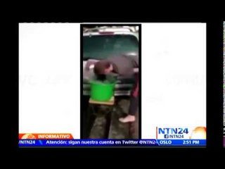 Evalúan sanciones contra joven que utiliza a perro para realizar 'Desafío de la cubeta con Hielo'