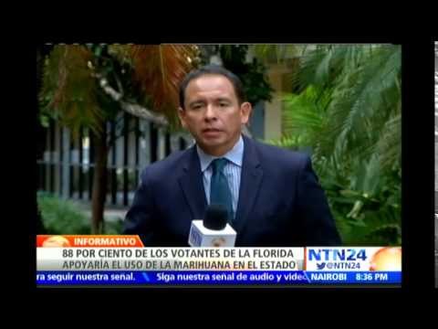Gran mayoría de votantes de Florida dicen sí la marihuana para uso medicinal