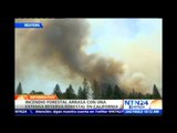 Extensa reserva forestal en California es consumida por un gigantesco incendio