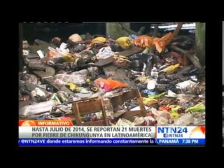 OMS califica como "situación grave" la propagación del virus Chikungunya en el continente americano