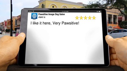 Pawsitive Image Dog Salon  Perfect 5 Star Review by marc s.