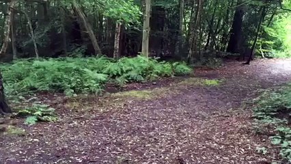 Farhana Maqsood song tum bin Jaoon kahan -