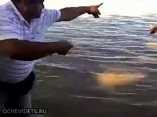 Ловись рыбка