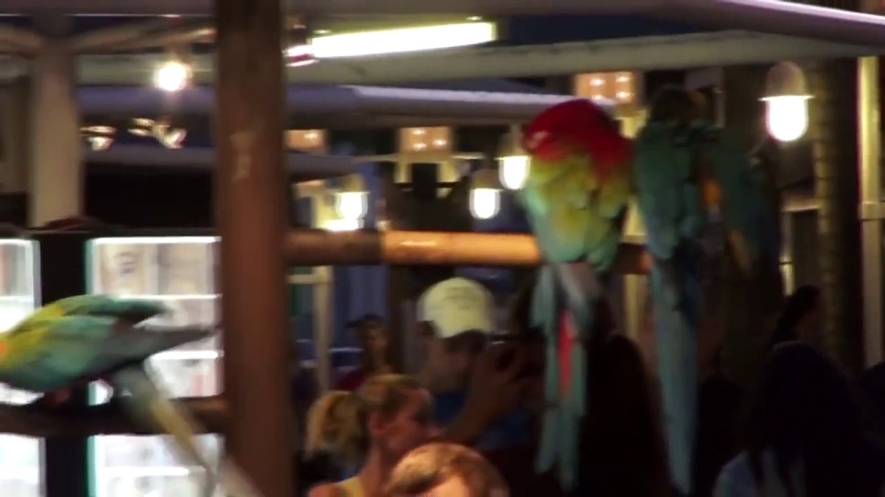 Jenny Scordamaglia -Discovery Season 2 South Florida