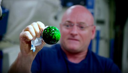 Yerçekimsiz Ortamda Su İçine Boya Enjekte Edilirse Ne Olur?