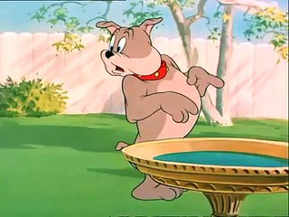 Tom And Jerry Bangla - Tom And Jerry G