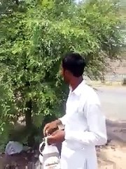 Please Try to understand.....Dasi People