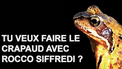 Tu veux faire le crapaud avec Rocco Siffredi ? #DansTonFlux 50