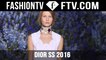 Dior Spring 2016  Paris Fashion Week | FTV.com