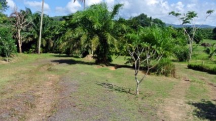 10 Rai or 16,000 sqm. Land in Layan Phuket - Best Choice for Hotel or Resort business