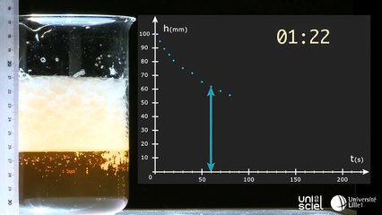 La bière et sa mousse