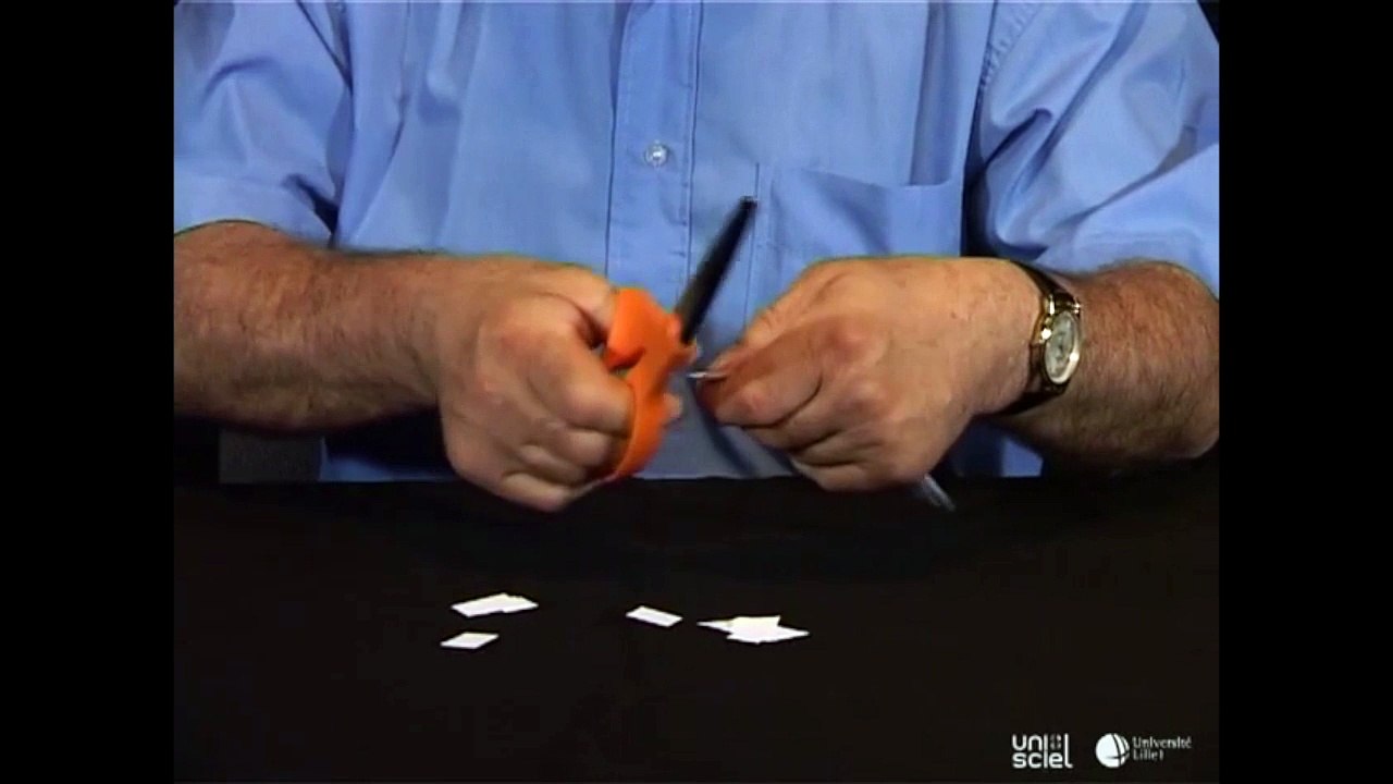 La danse des petits bouts de papier