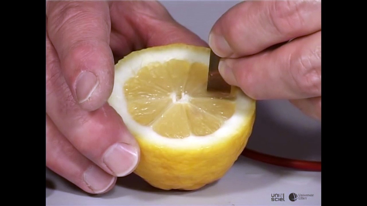 La pile au citron