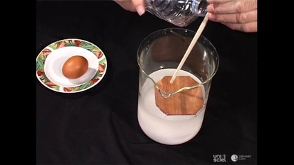 Un œuf qui flotte entre deux eaux