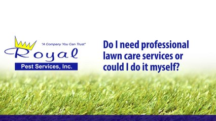 Do I need professional lawn care or can I do it myself?